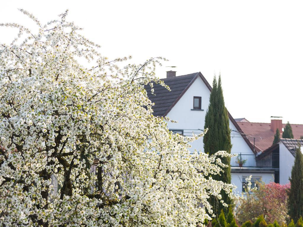 Living Timeless - Ruster Drachennest, Zentrale Lage In Rust, Nur Wenige Minuten Zum Europa-Park & Rulantica Bagian luar foto